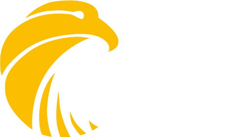 Falcon Power Generation